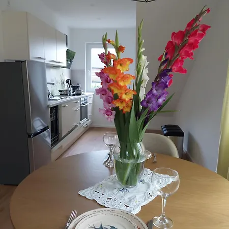 Senfnest Apartman