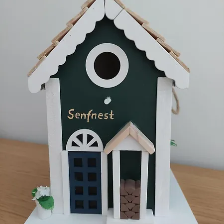 Senfnest Ober-Ramstadt