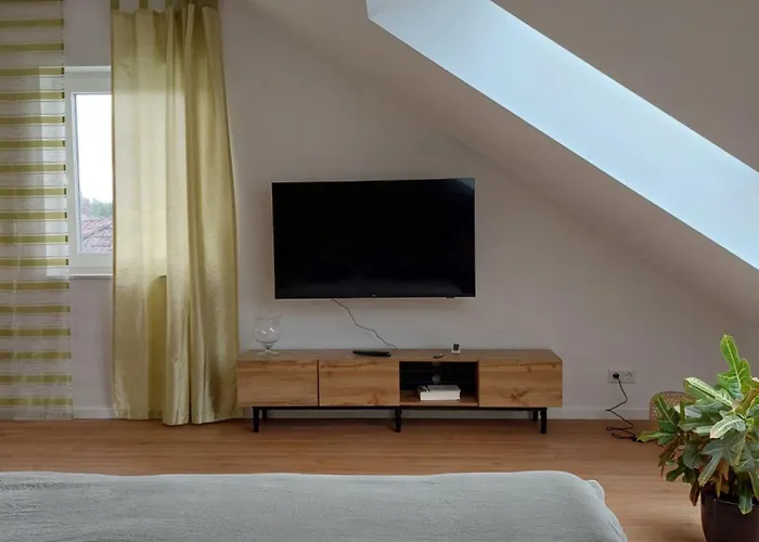 Senfnest Ober-Ramstadt