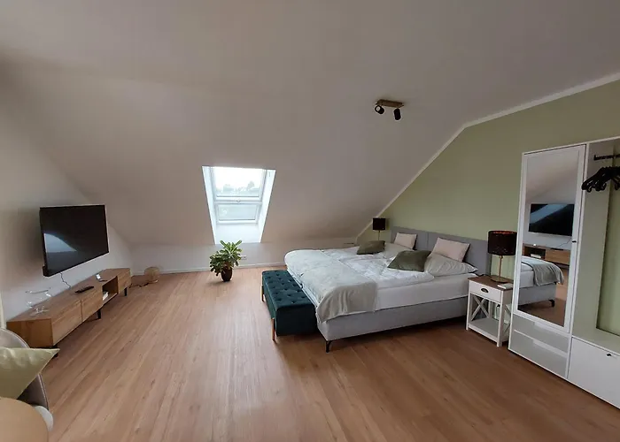 Senfnest Ober-Ramstadt