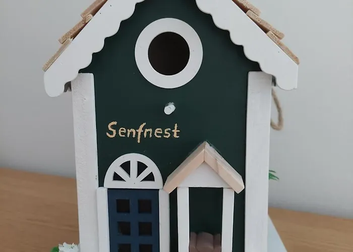 Senfnest Ober-Ramstadt